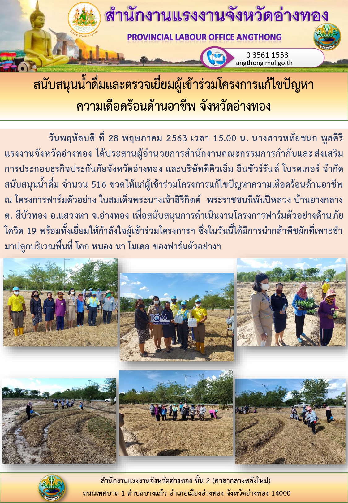 Mol-Thailand