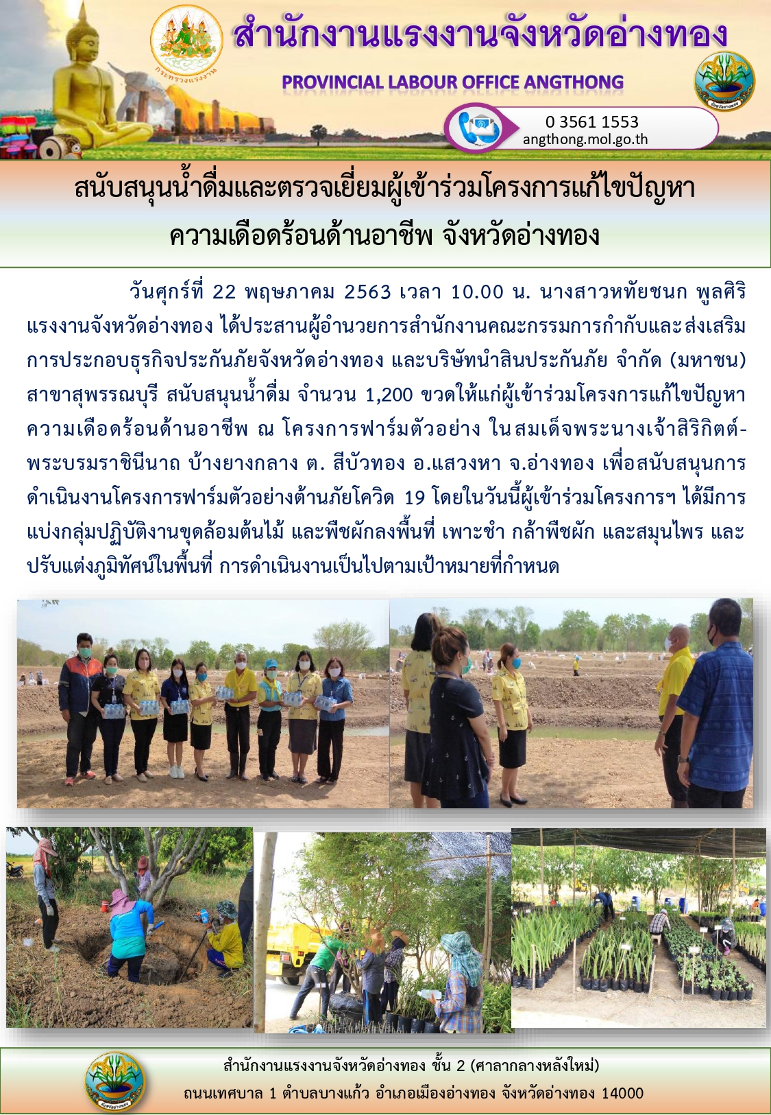 Mol-Thailand